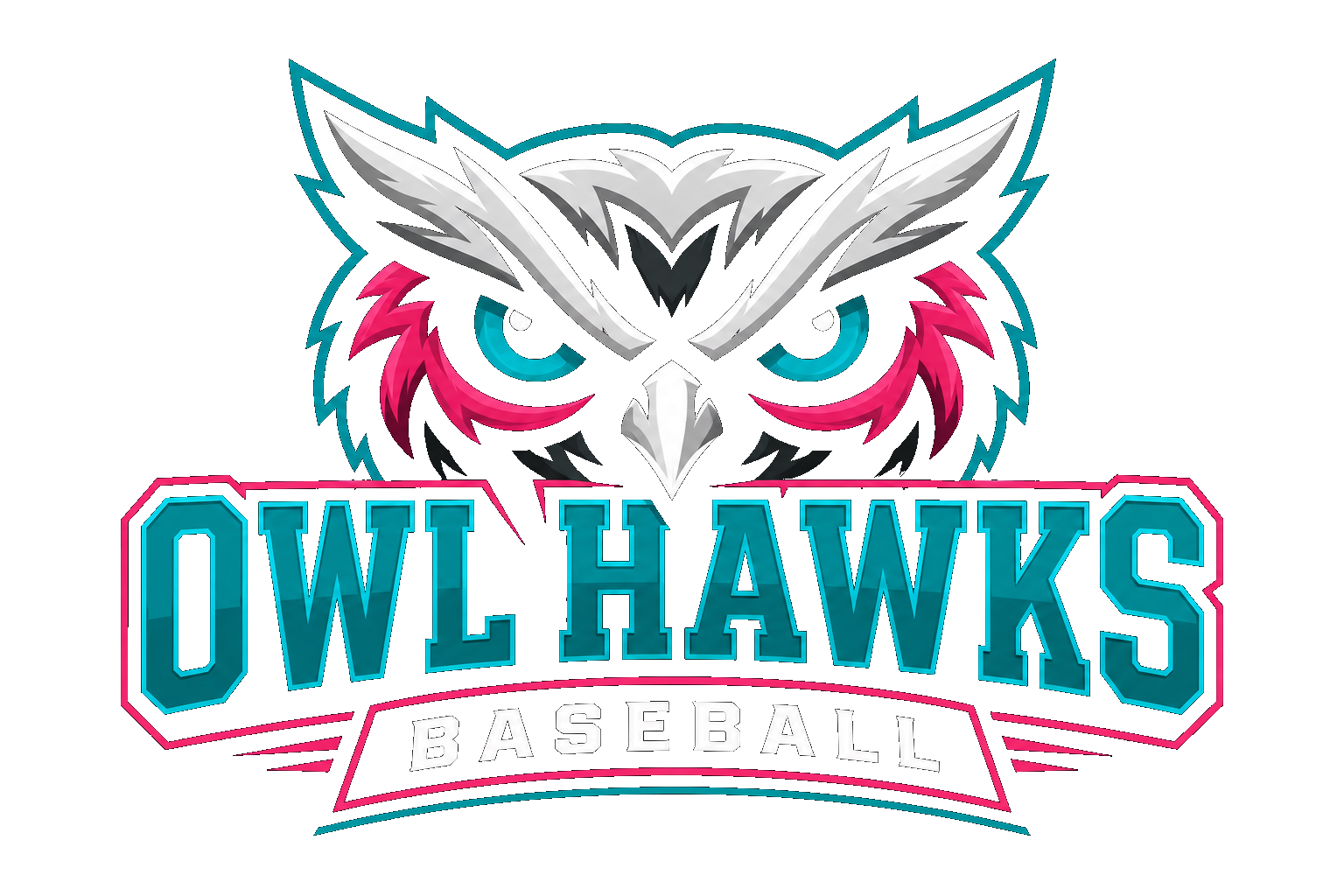 Owl Hawks Baseball